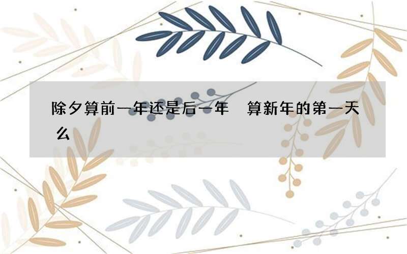 除夕算前一年还是后一年 算新年的第一天么